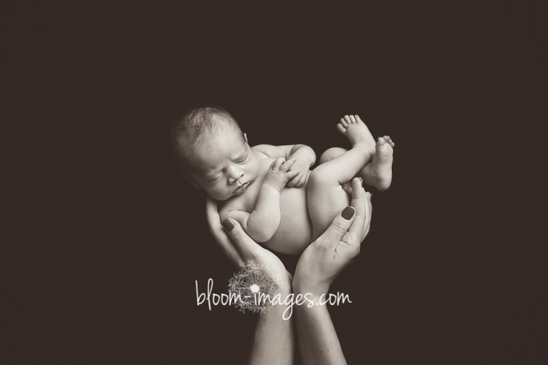 Vian, Newborn, Studio photography