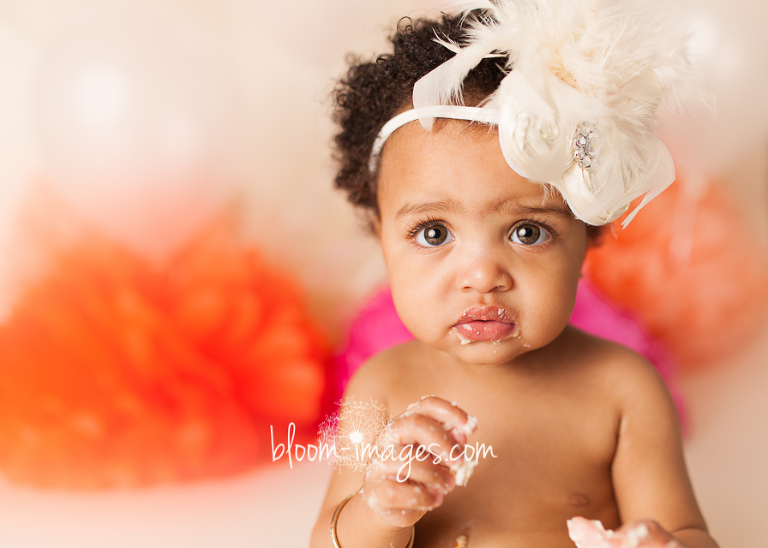 Birthday Girl! - Ashburn VA Baby Photographer, all about Cake Smash ...