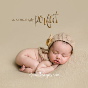 Newborn Baby Photo Session with Bloom Images by Sylvia Osinski, in Ashburn, Northren VA